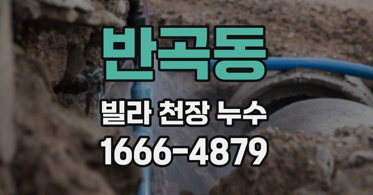반곡동 빌라 천장 누수