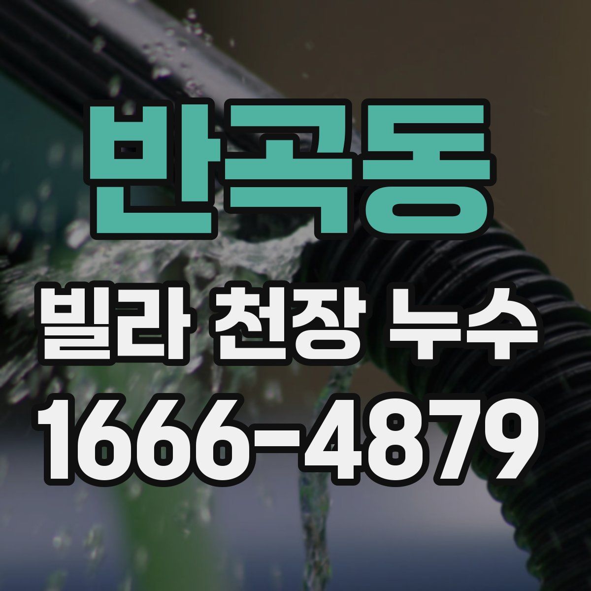 반곡동 빌라 천장 누수