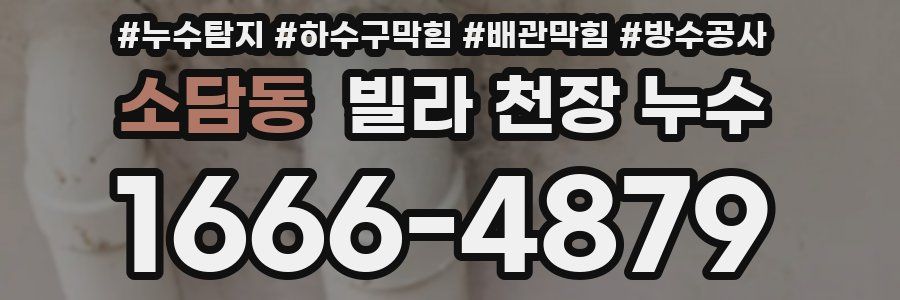 소담동 빌라 천장 누수