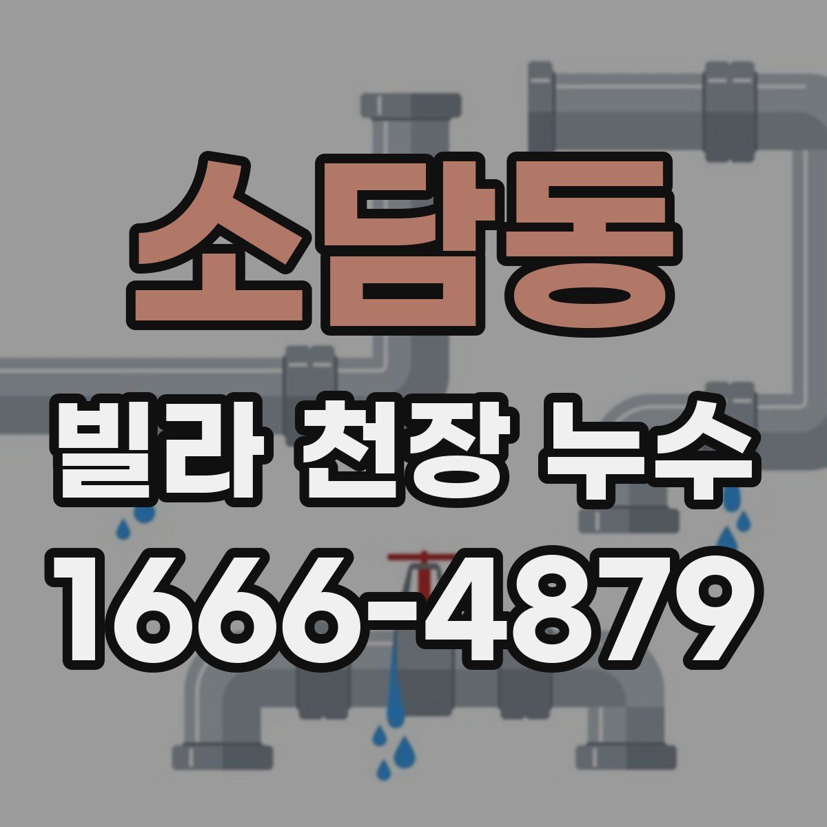 소담동 빌라 천장 누수