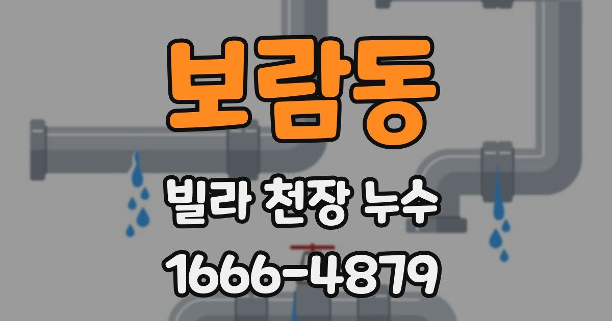 보람동 빌라 천장 누수