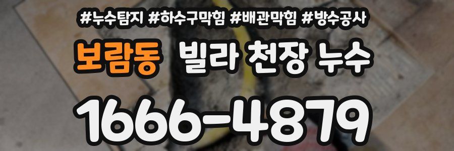 보람동 빌라 천장 누수