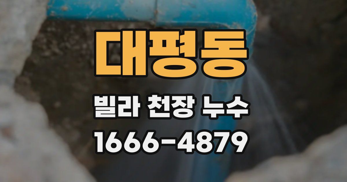 대평동 빌라 천장 누수