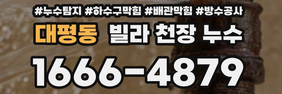 대평동 빌라 천장 누수