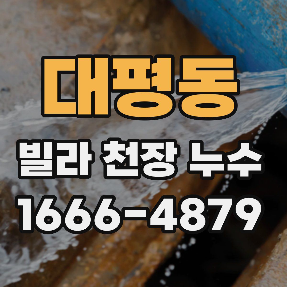 대평동 빌라 천장 누수
