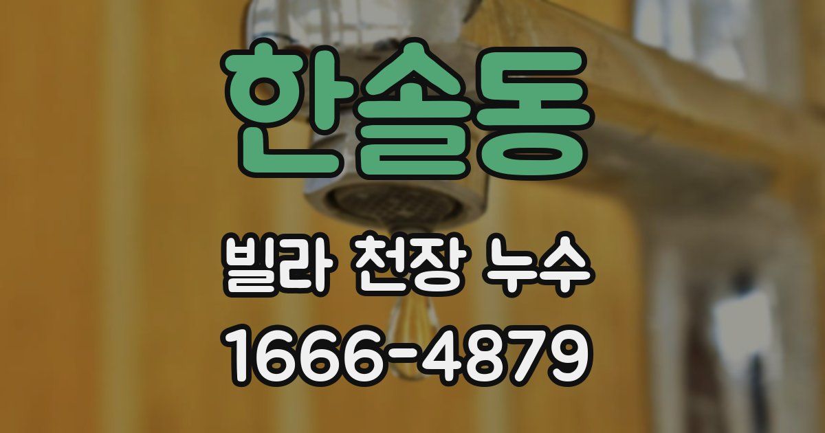한솔동 빌라 천장 누수