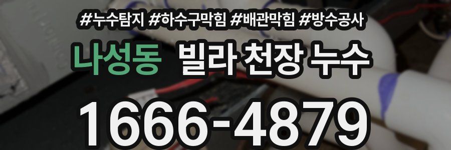 나성동 빌라 천장 누수