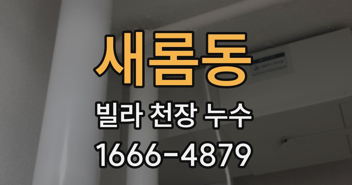 새롬동 빌라 천장 누수