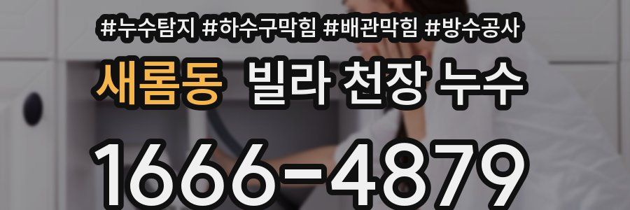 새롬동 빌라 천장 누수