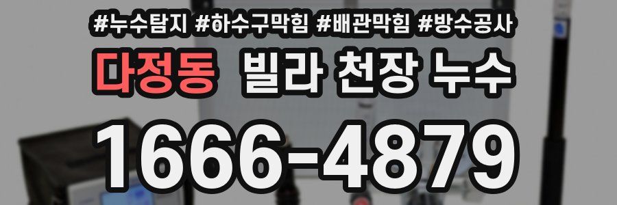 다정동 빌라 천장 누수