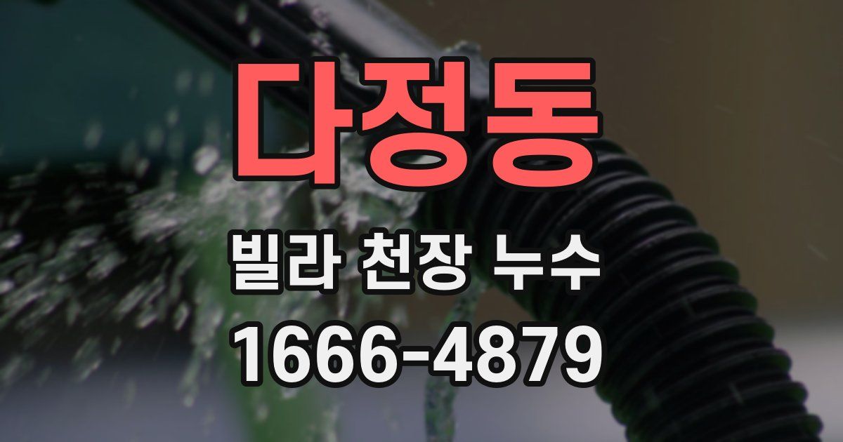 다정동 빌라 천장 누수
