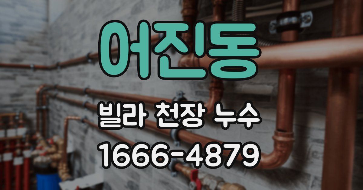 어진동 빌라 천장 누수
