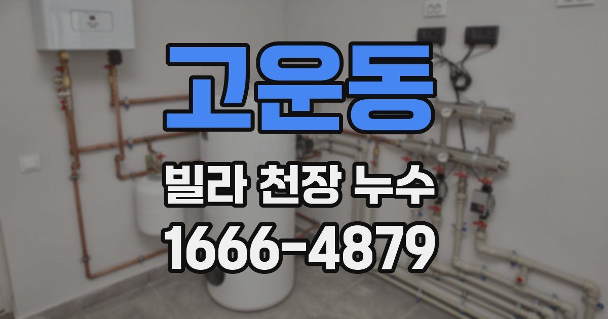 고운동 빌라 천장 누수