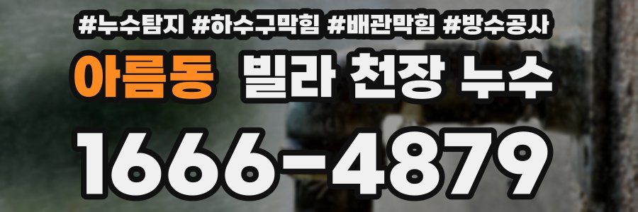 아름동 빌라 천장 누수