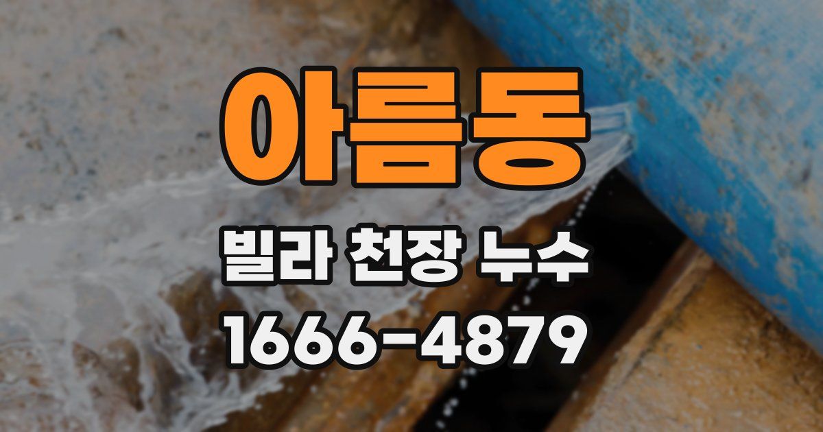 아름동 빌라 천장 누수