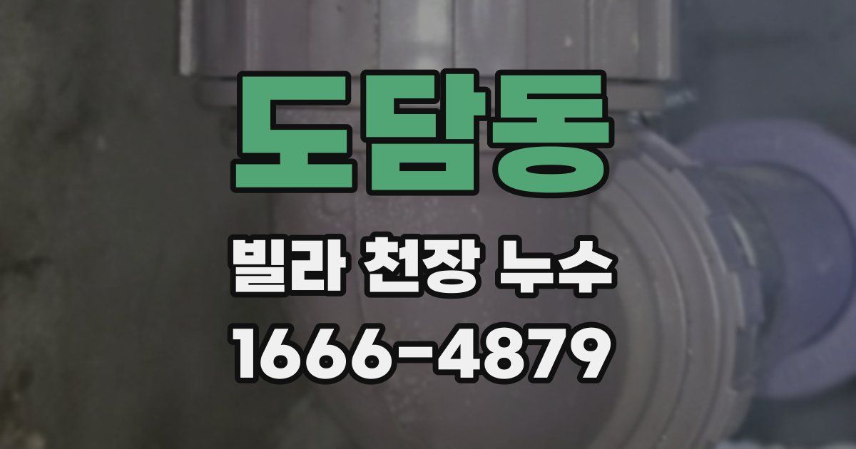 도담동 빌라 천장 누수