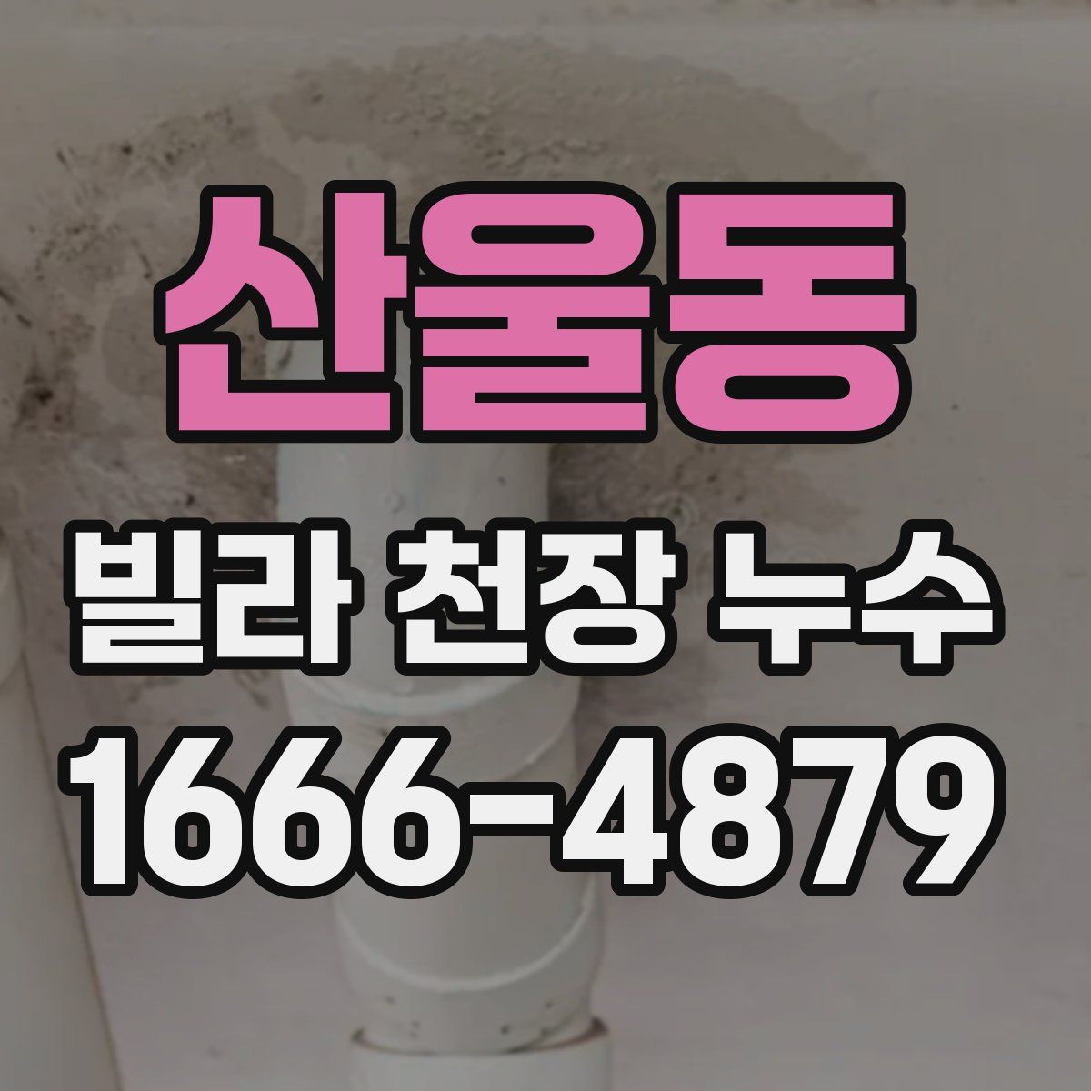 산울동 빌라 천장 누수