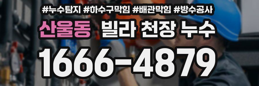 산울동 빌라 천장 누수
