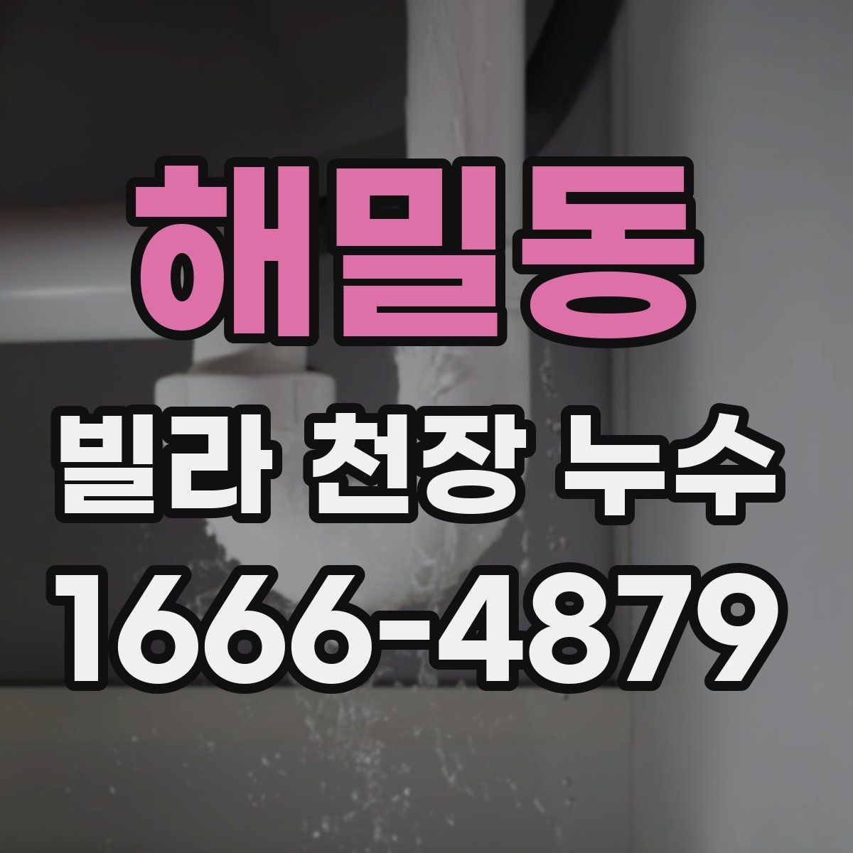 해밀동 빌라 천장 누수