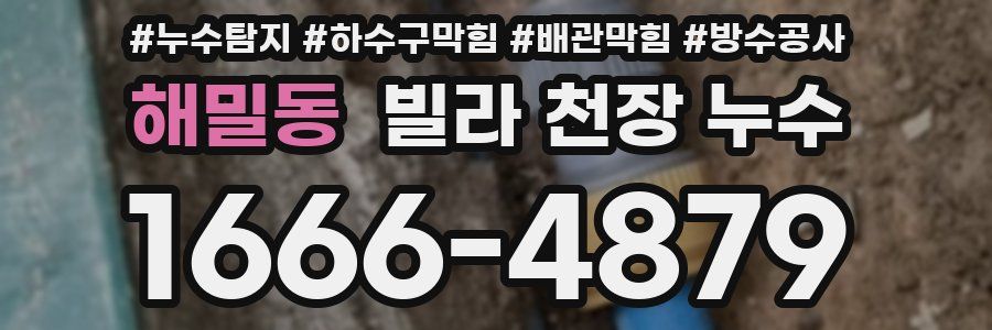 해밀동 빌라 천장 누수