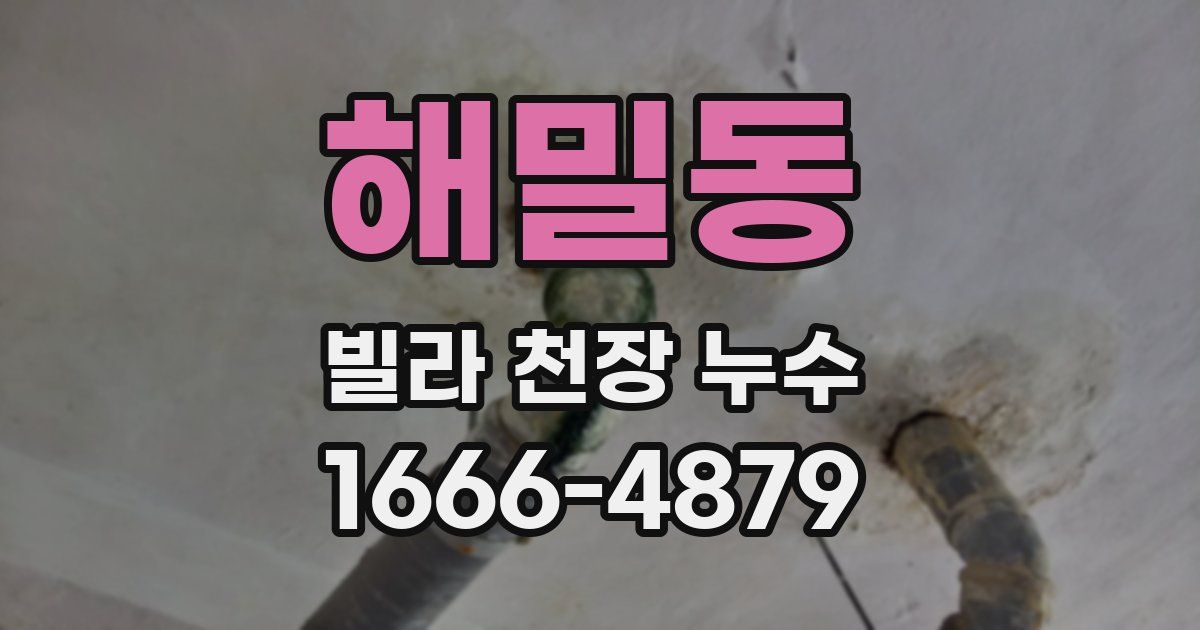 해밀동 빌라 천장 누수