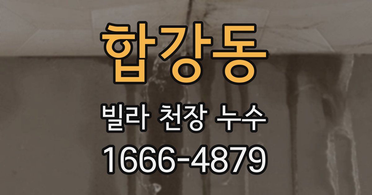 합강동 빌라 천장 누수
