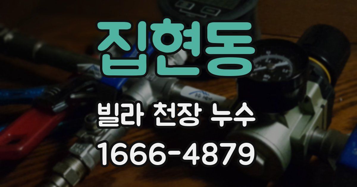 집현동 빌라 천장 누수