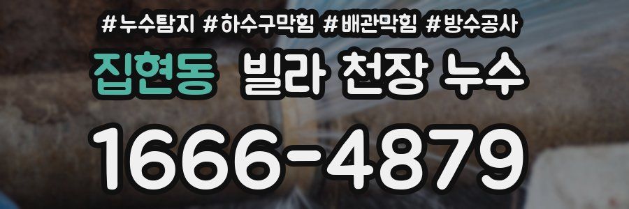 집현동 빌라 천장 누수