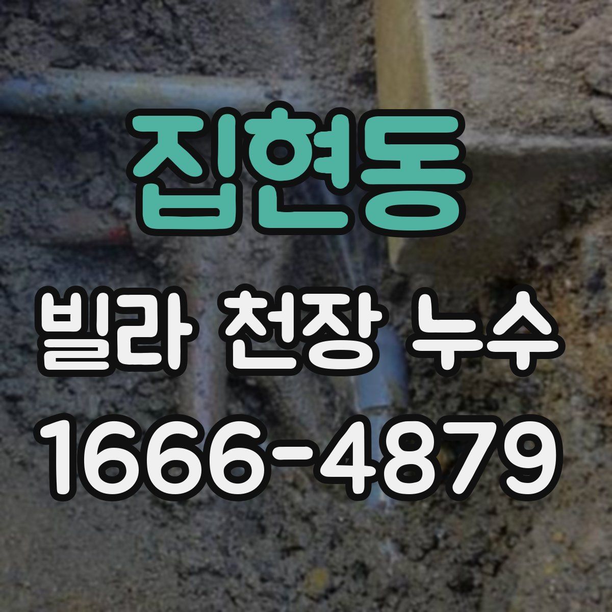 집현동 빌라 천장 누수