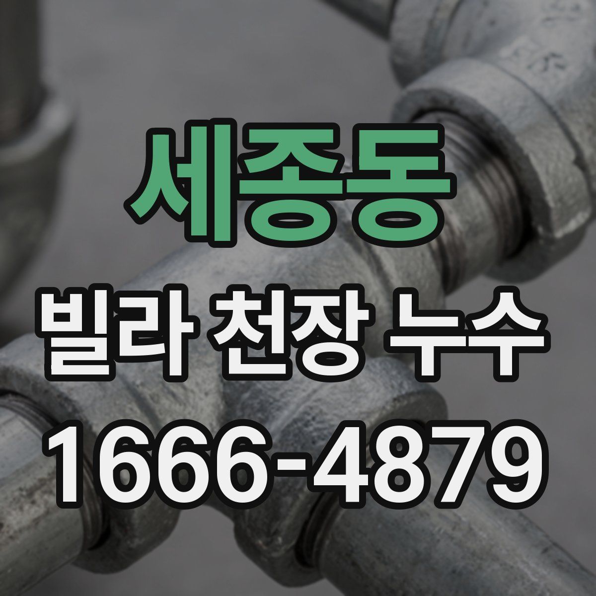 세종동 빌라 천장 누수