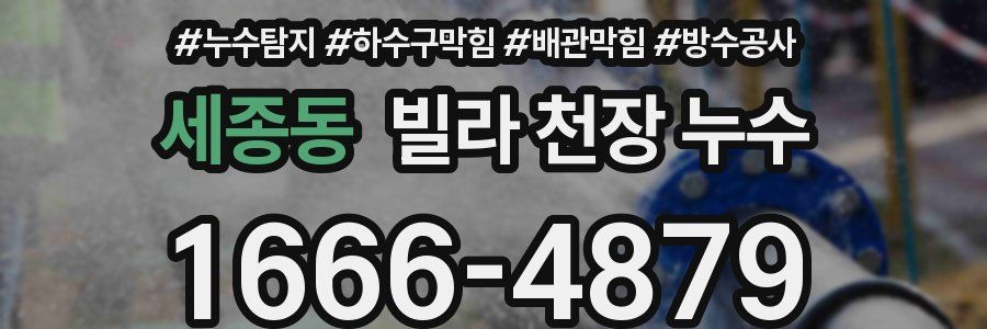 세종동 빌라 천장 누수