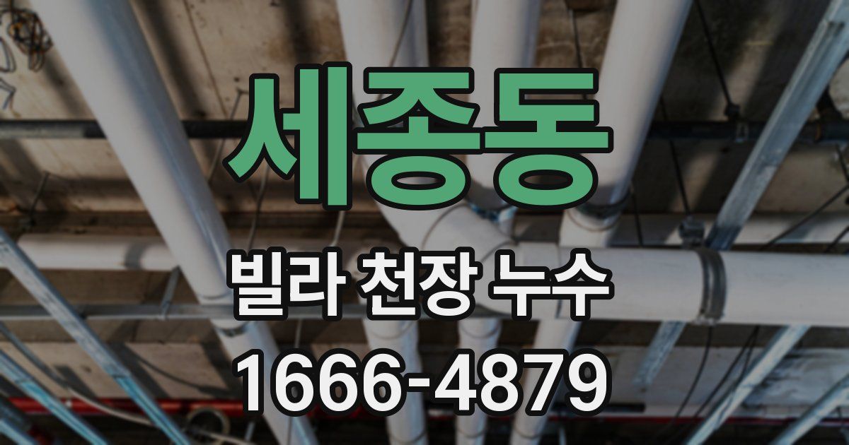 세종동 빌라 천장 누수