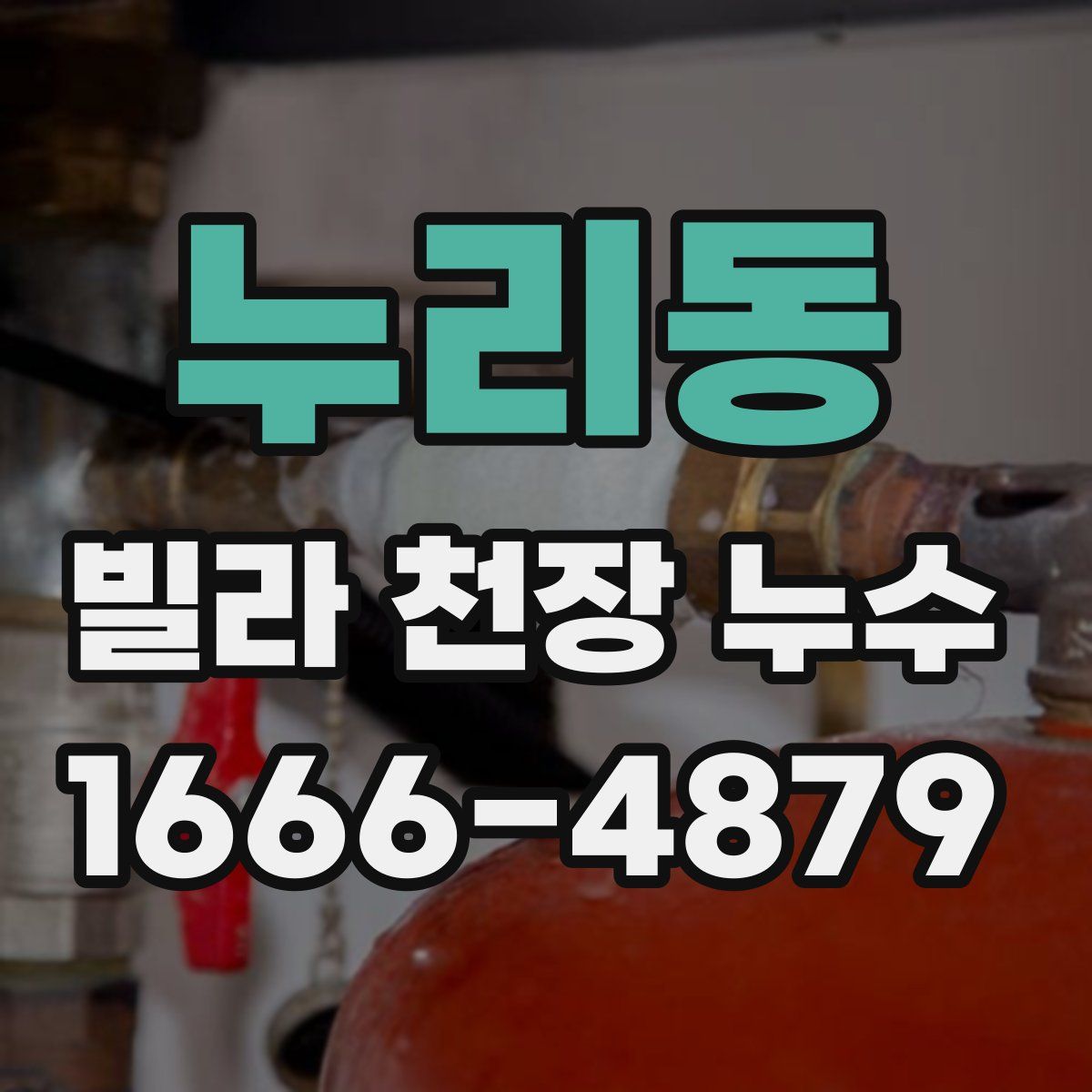 누리동 빌라 천장 누수