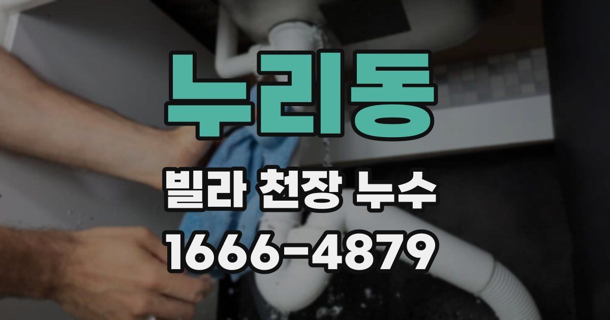 누리동 빌라 천장 누수
