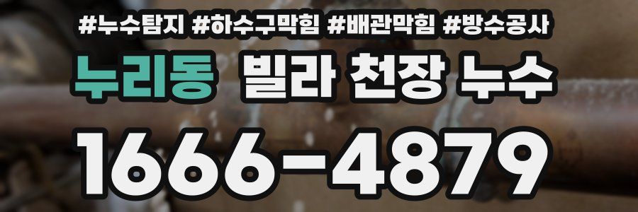 누리동 빌라 천장 누수
