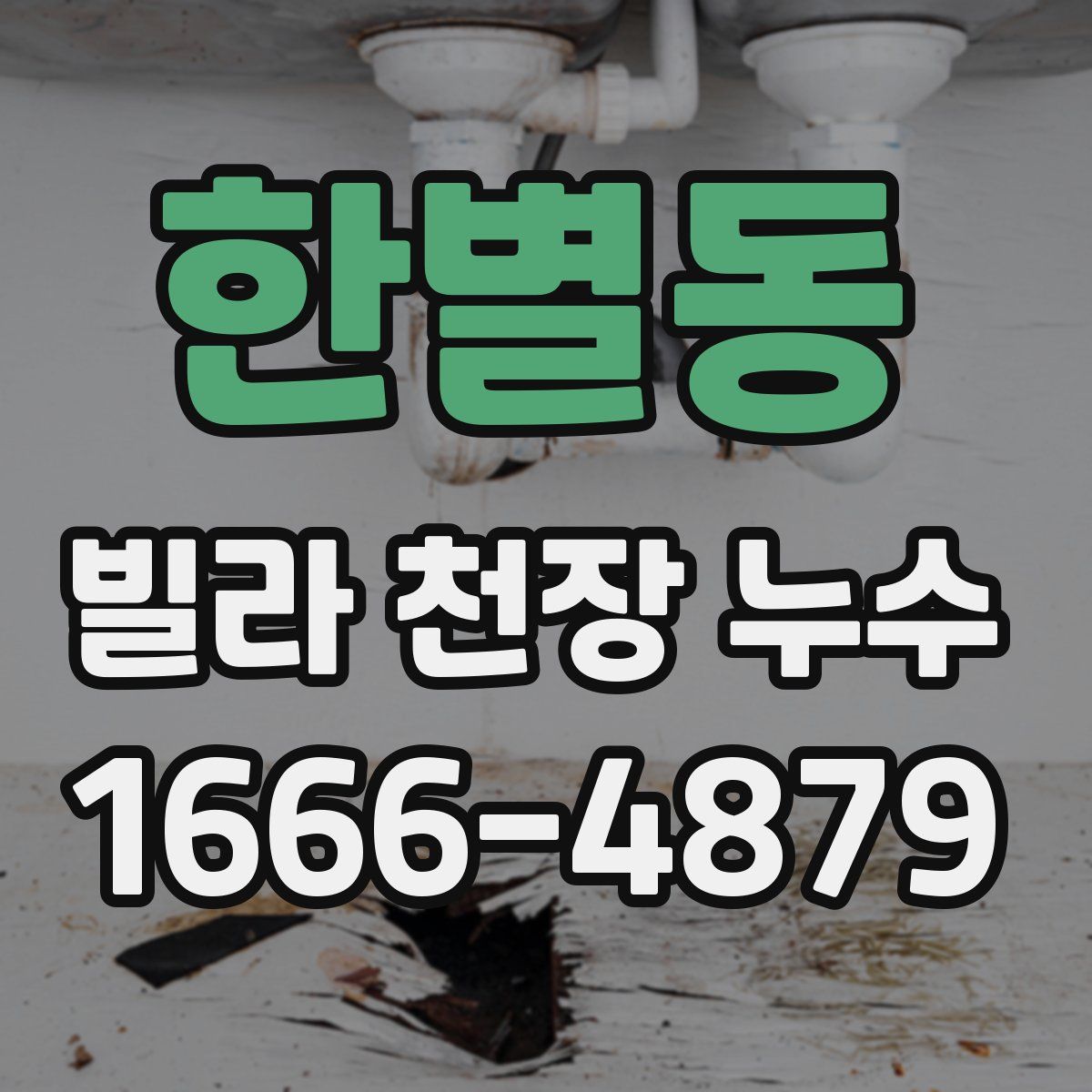 한별동 빌라 천장 누수