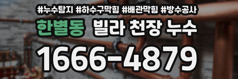 한별동 빌라 천장 누수
