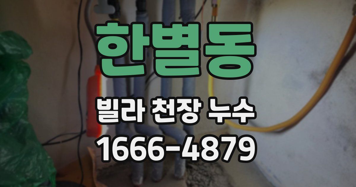 한별동 빌라 천장 누수