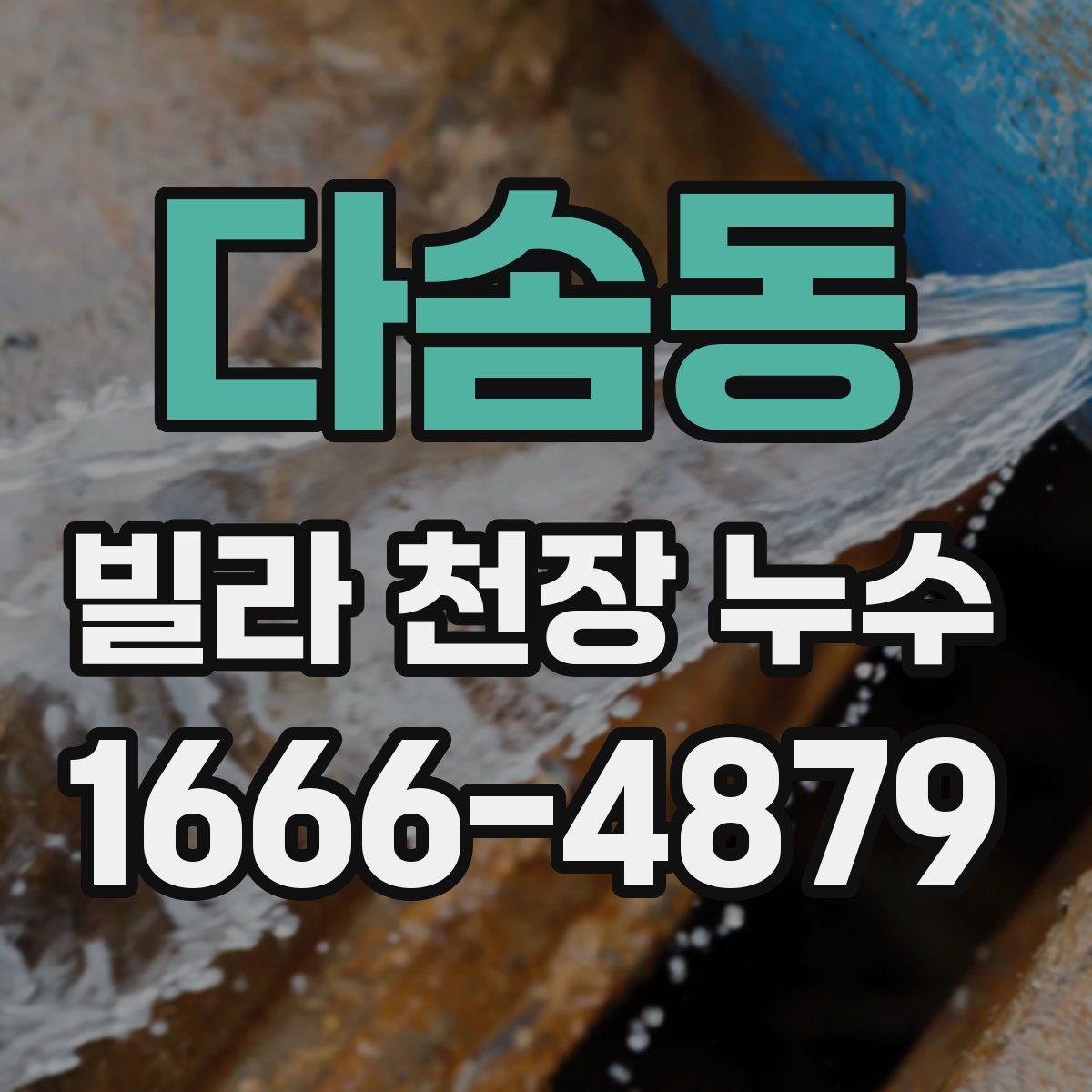 다솜동 빌라 천장 누수