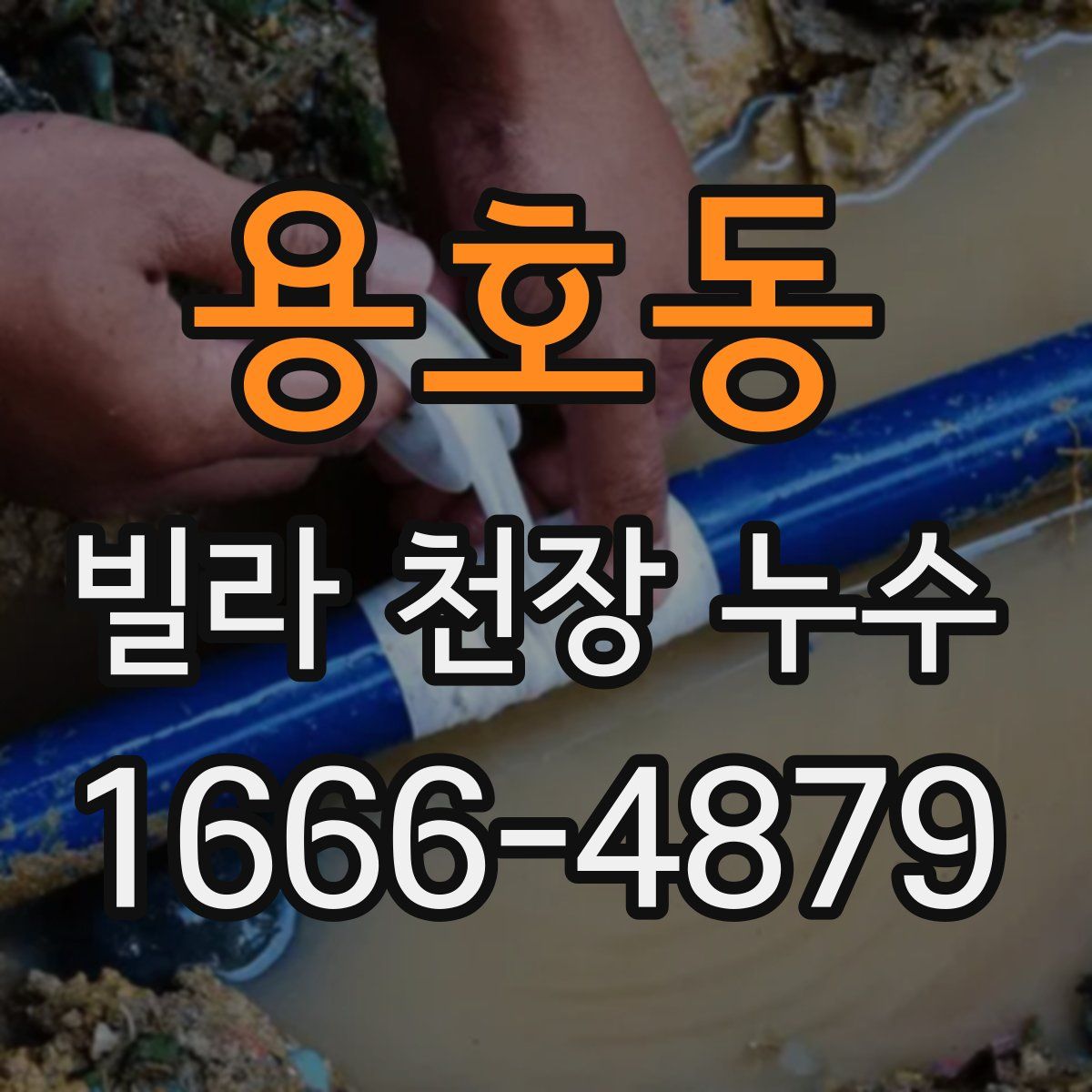 용호동 빌라 천장 누수