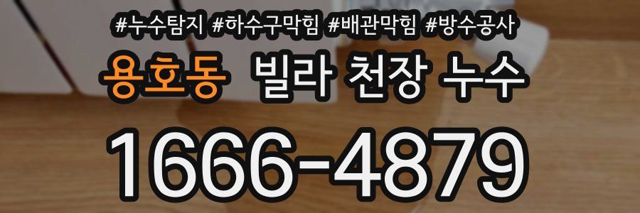 용호동 빌라 천장 누수