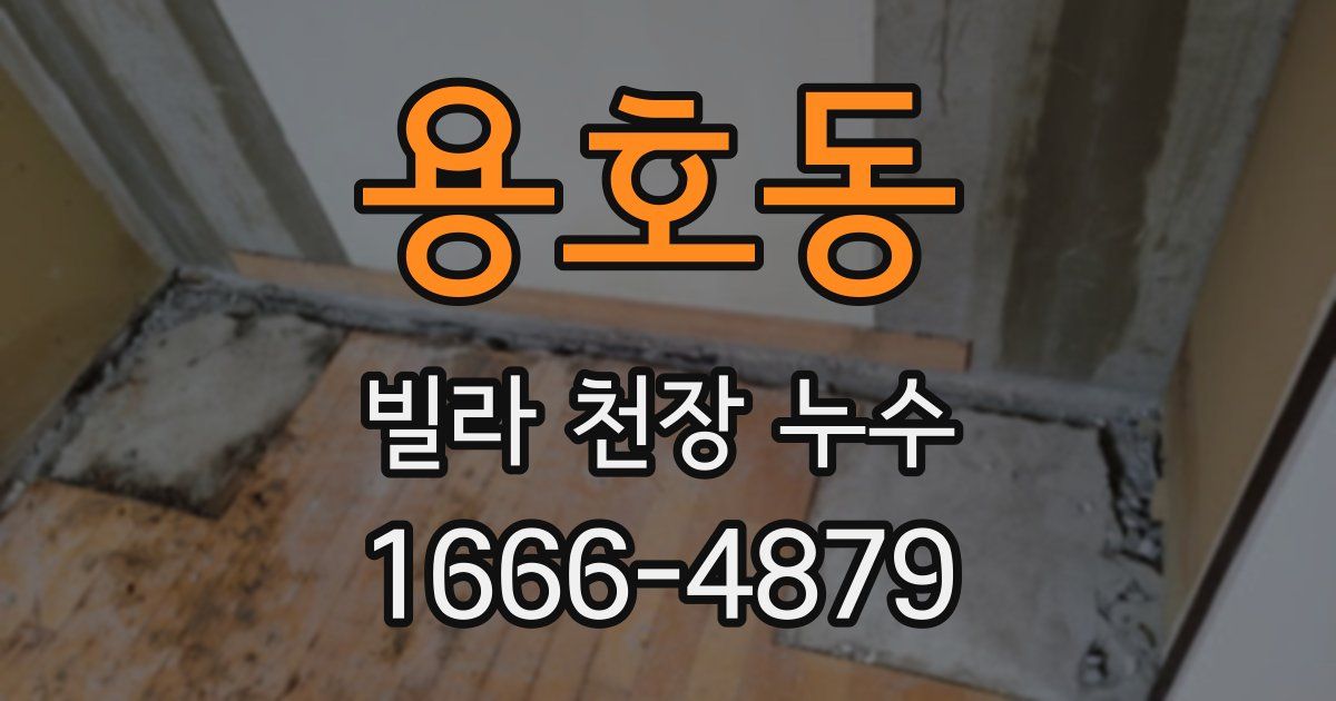 용호동 빌라 천장 누수