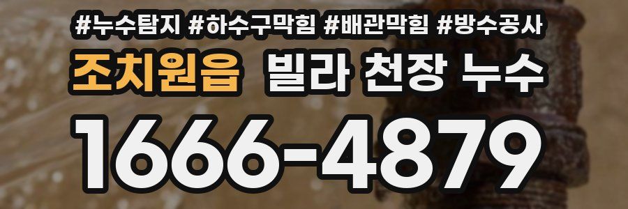 조치원읍 빌라 천장 누수
