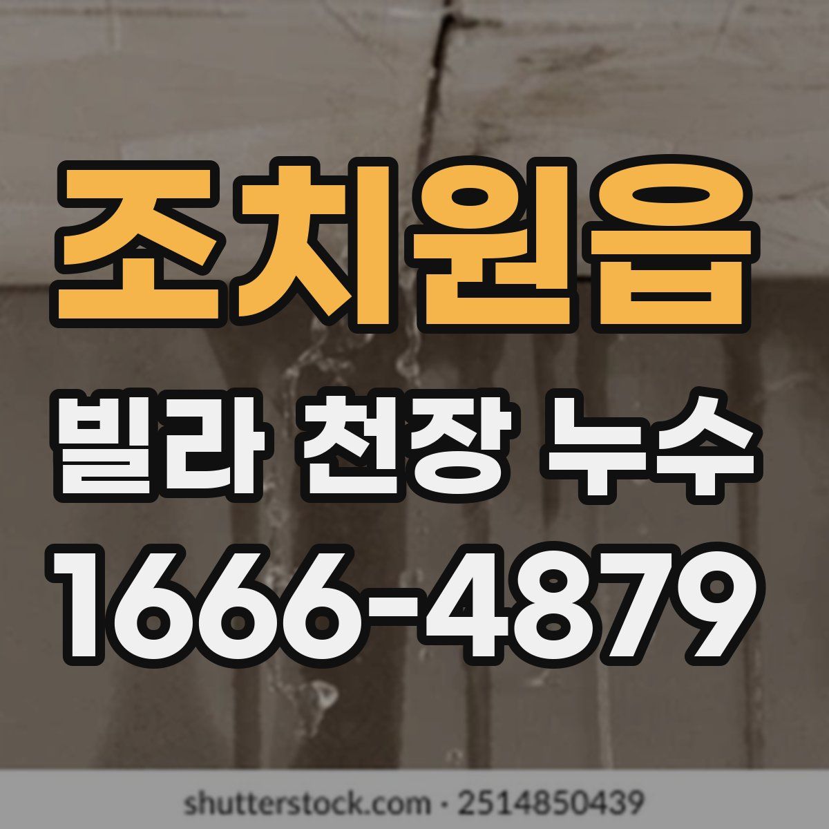 조치원읍 빌라 천장 누수