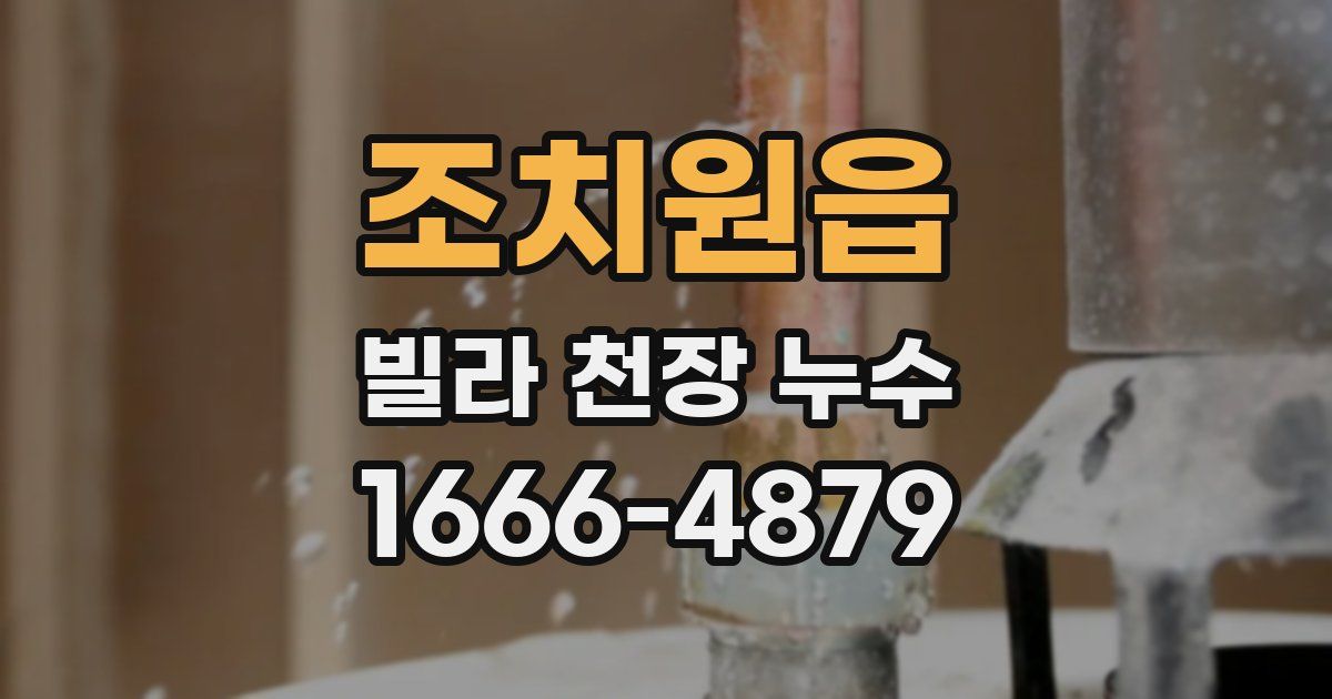 조치원읍 빌라 천장 누수