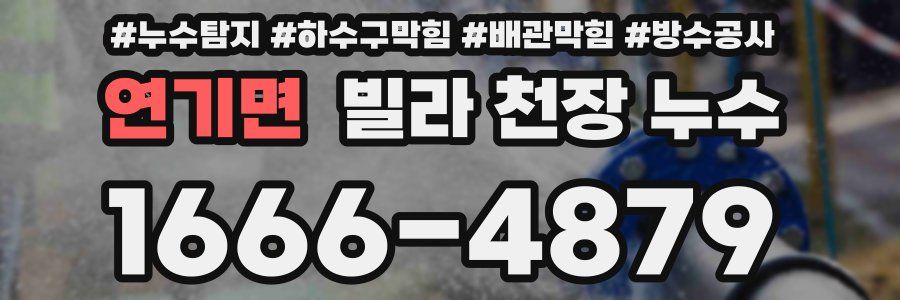 연기면 빌라 천장 누수
