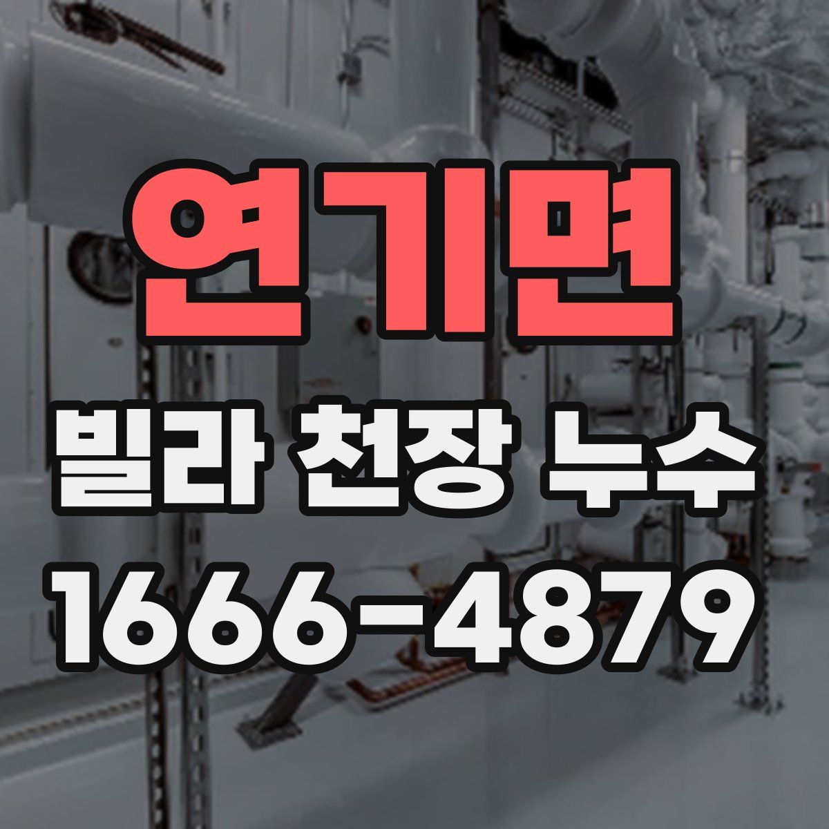 연기면 빌라 천장 누수