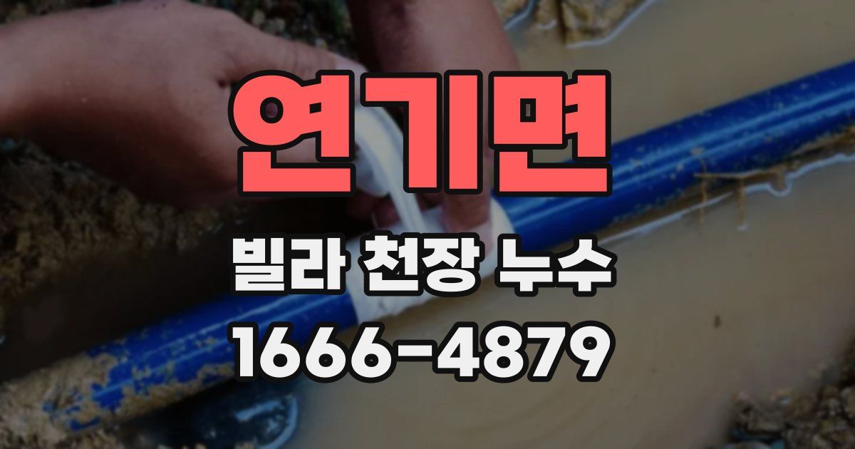 연기면 빌라 천장 누수