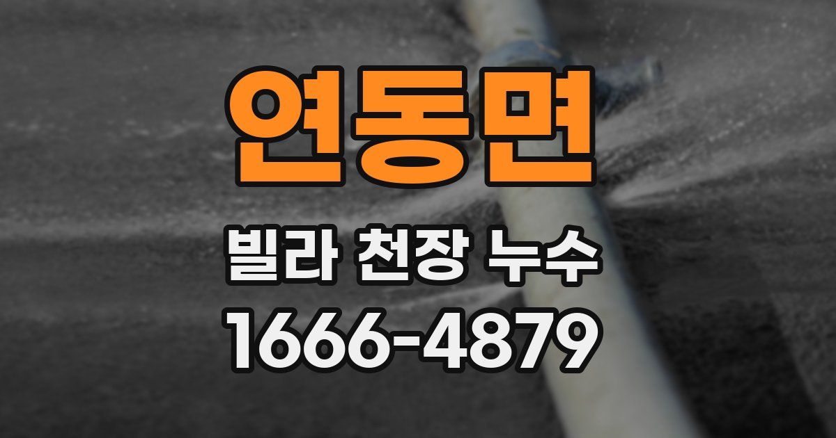 연동면 빌라 천장 누수