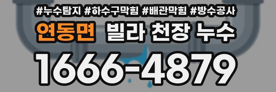 연동면 빌라 천장 누수